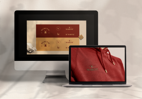 WordPress web stranica prikazana na laptopu i mobitelu